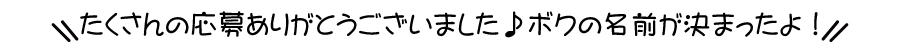 たくさんの応募ありがとうございました。ボクの名前が決まったよ