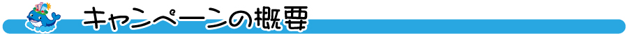 キャンペーンの概要